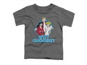 Archie Comics Why Choose Short Sleeve Toddler Tee Charcoal Medium 3T