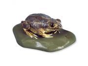 3B Scientific VN709 2 Female Common Spadefood Toad Model Mounted On Base