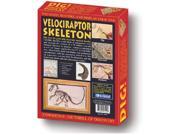 KRISTAL 3220 Dig! and Discover Velociraptor Skeleton