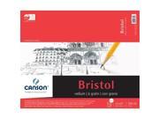 Canson C100511019 Foundation Series Vellum Bristol 14 in. x 17 in.