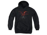 Trevco The Hobbit Smaug Youth Pull Over Hoodie Black Large