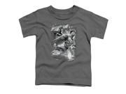 Trevco Jla Atmospheric Short Sleeve Toddler Tee Charcoal Small