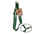 GoGo 15093 Large 1 In. Green Harness