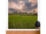 Adzif FR118 DAJV5 Bali Rice Field 8 x 8 ft.