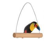 Alvin BHS520 Paint Your Own Toucan Bird Kit