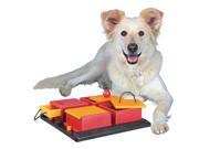 TRIXIE Pet Products 32012 Dog Activity Poker Box Level 2