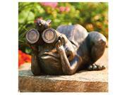 Allen AG59040 Frog Binoculars Statue