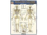 BarCharts 9781423215103 Skeletal System Advanced Quickstudy Easel