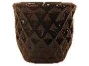 Border Concepts 46990 5.25 in. Pineapple Pot Pack of 6