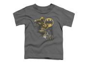 Trevco Batman Bat Signal Short Sleeve Toddler Tee Charcoal Large 4T