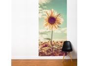 Adzif FR007 BAJV5 Sunflower 4 x 8 ft.