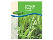 Barenbrug 491164 50 lbs. Perennial VNS Ryegrass Seed