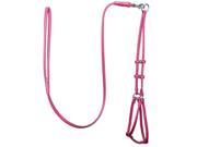 Dogline L2900 7 48 L x 0.25 W in. Round Leather Step In Harness with Leash Pink