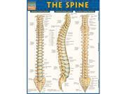 BarCharts 9781423220237 The Spine Quickstudy Easel