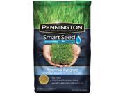Pennington Seed 100086853 3 lbs. Smart Seed Perennial Rye Blend Premium Grass Seed Mixture