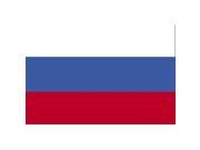 Annin Flagmakers 199035 8 x 12 in. Eb Russia Mounted