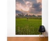 Adzif FR118 CAJV5 Bali Rice Field 6 x 8 ft.