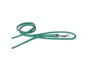 Dogline L2062 23 72 L x 0.38 W in. Round Leather Leash Teal