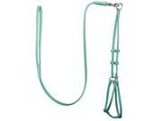 Dogline L2900 23 48 L x 0.25 W in. Round Leather Step In Harness with Leash Teal