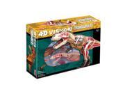 Tedco Toys 26651 4D Vision Tyrannosaurus Rex Anatomy Model