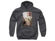 Trevco The Hobbit Balin Youth Pull Over Hoodie Charcoal Small
