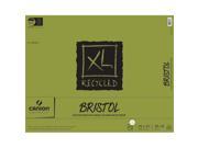 Canson C100510935 19 in. x 24 in. Recycled Bristol Sheet Pad