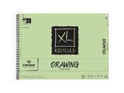 Canson C100510918 18 in. x 24 in. Recycled Drawing Sheet Pad