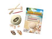 Tedco Toys 90005 Ocean Fossil Dig Excavation Kit