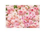Brewster Home Fashions 8 937 Rosa Wall Mural 100 in.