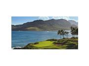 Biggies GM KLN 54 Golf Murals Kauai Lagoon Medium