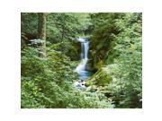 Brewster Home Fashions DM279 Waterfall In Spring Wall Mural 100 in.