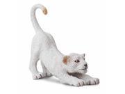 CollectA 88550 White Lion Cub Stretching Wildlife Animal Toy Model Replica Pack of 12