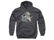 Trevco The Hobbit Gandalf The Grey Youth Pull Over Hoodie Charcoal Small