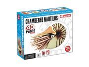 Tedco Toys 26545 4D Chambered Nautils Puzzle