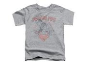 Trevco Dc Fooled You Short Sleeve Toddler Tee Heather Large 4T