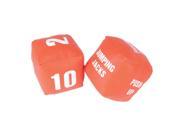 American Educational Products Ytc 107 Cubes With Actions Fitness Dice Set Of 2