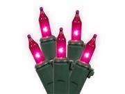 NorthLight Set Of 50 Pink Mini Christmas Lights Green Wire
