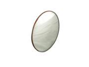 American Educational Products 7 1301 L Mirror Convex Silver Backed