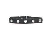 Rockinft Doggie 844587013875 .5 in. x 12 in. Leather Collar with Domed Rivets Black