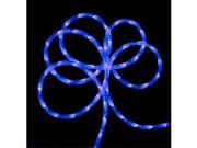 NorthLight 18 ft. LED Blue Tinted Purple Indoor Outdoor Christmas Rope Lights