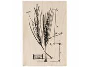 Tim Holtz Mounted Red Rubber Stamp 4.5 X3 Wheat Sketch