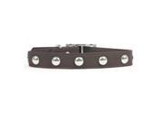Rockinft Doggie 844587013967 .5 in. x 8 in. Leather Collar with Domed Rivets Brown