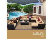 TKC Barbados 12 Piece Outdoor Wicker Patio Furniture Set