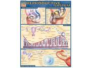 BarCharts Inc. 9781572225459 Reproductive System