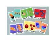 Didax Irregular Plural Nouns Matching Puzzle Card Set Set 30
