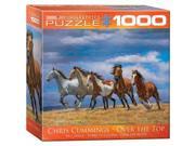 Euro Graphics 8000 0709 Over The Top By Chris Cummings Puzzle