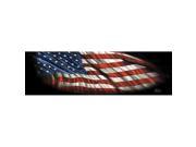 VANTAGE PNT 090030L Window Graphics Starry Night American Flag Design