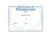 School Specialty Raised Print Certificate Of Promotion Recognition Nuline Award Pack 25