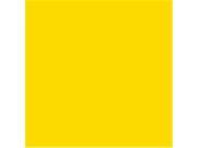 Liquitex 4 Oz. Basics Non Toxic Heavy Body Acrylic Paint Cadmium Yellow Medium