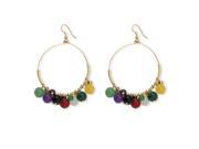 PalmBeach Jewelry 53064 Multi Colored Agate Circle Earrings in Yellow Gold Tone
